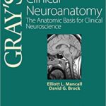Gray's Clinical Neuroanatomy: The Anatomic Basis for Clinical Neuroscience By Elliott L. Mancall
