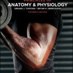 Tortora's Principles of Anatomy and Physiology 16th Edition