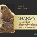 Anatomy for Cardiac Electrophysiologists A Practical Handbook