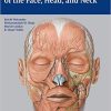 Anatomy for Plastic Surgery of the Face Head and Neck