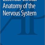 Essential Clinical Anatomy of the Nervous System