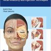 Dermal Fillers Facial Anatomy and Injection Techniques