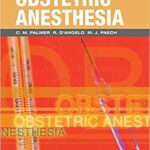 Handbook of Obstetric Anesthesia By Craig M Palmer