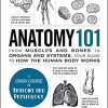 Anatomy 101 From Muscles and Bones to Organs and Systems Your GuiHuman de to How the Body Works