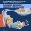 The Anatomical Foundations Of Regional Anesthesia And Acute Pain Medicine Macroanatomy Microanatomy Sonoanatomy Functional anatomy