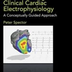 Understanding Clinical Cardiac Electrophysiology A Conceptually Guided Approach