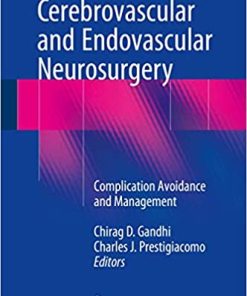 Cerebrovascular and Endovascular Neurosurgery Complication Avoidance and Management