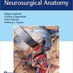Operative Cranial Neurosurgical Anatomy