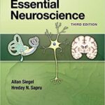 Essential Neuroscience 3rd Ed