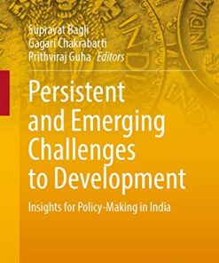 Persistent and Emerging Challenges to Development Insights for Policy Making in India India Studies in Business and Economics