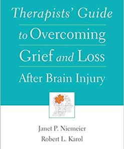 Therapists Guide to Overcoming Grief and Loss After Brain Injury