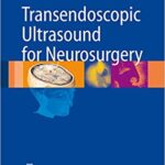 Transendoscopic Ultrasound for Neurosurgery