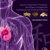 Inquiry Treatment Principles and Plans in Integrative Cardiovascular Chinese Medicine Volume 5