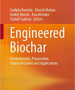 Engineered Biochar: Fundamentals, Preparation, Characterization and Applications