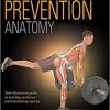 Sport Injury Prevention Anatomy