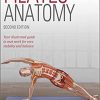 Pilates Anatomy