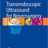 Transendoscopic Ultrasound for Neurosurgery