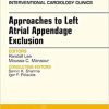 Approaches to Left Atrial Appendage Exclusion An Issue of Interventional Cardiology Clinics