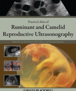 Practical Atlas of Ruminant and Camelid Reproductive Ultrasonography