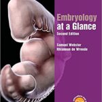 Embryology At A Glance 2nd Ed