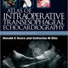 Atlas of Intraoperative Transesophageal Echocardiography
