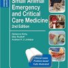 Small Animal Emergency and Critical Care Medicine 2nd Edition Self Assessment Color Review