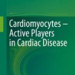 Cardiomyocytes Active Players in Cardiac Disease
