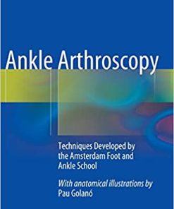 Ankle Arthroscopy Techniques Developed by the Amsterdam Foot and Ankle School