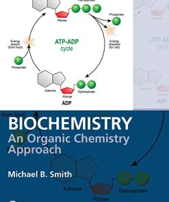 Biochemistry An Organic Chemistry Approach