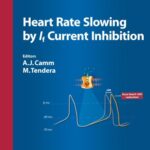 Heart Rate Slowing by If Current Inhibition (Advances in Cardiology, Vol. 43)