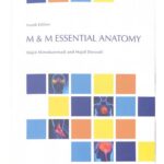 M & M Essential Anatomy