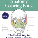 Anatomy Coloring Book (Kaplan Test Prep) 8th Edition