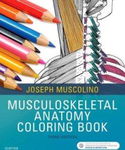 Musculoskeletal Anatomy Coloring Book