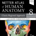 Netter Atlas of Human Anatomy: Classic Regional Approach with Latin Terminology