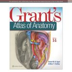 Grant's Atlas of Anatomy