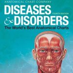 Diseases & Disorders : The World's Best Anatomical Charts, 4e
