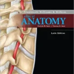 Lippincott Williams & Wilkins Atlas of Anatomy