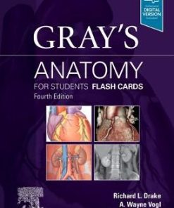 Gray's Anatomy for Students Flash Cards