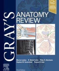 Gray's Anatomy Review