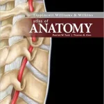 Lippincott Williams & Wilkins Atlas of Anatomy