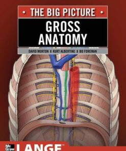 Gross Anatomy: The Big Picture
