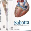 Sobotta Atlas of Human Anatomy Package : mMusculoskeletal system, internal organs, head, neck, neuroanatomy - with online access to e-sobotta.com, English/Latin, 15e