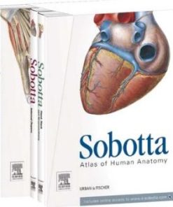 Sobotta Atlas of Human Anatomy Package : mMusculoskeletal system, internal organs, head, neck, neuroanatomy - with online access to e-sobotta.com, English/Latin, 15e