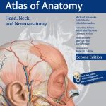 Head, Neck, and Neuroanatomy (THIEME Atlas of Anatomy)