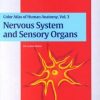 Color Atlas and Textbook of Human Anatomy, Vol. 3 : Nervous System and Sensory Organs, 5e**