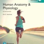 Human Anatomy & Physiology, Global Edition