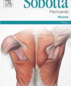 Sobotta Flashcards Muscles: Muscle