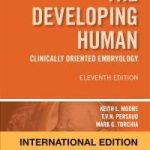 The Developing Human  Clinically Oriented Embryology Eleven Edition
