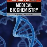 Medical Biochemistry The Big Picture