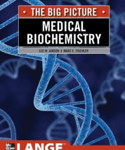 Medical Biochemistry The Big Picture